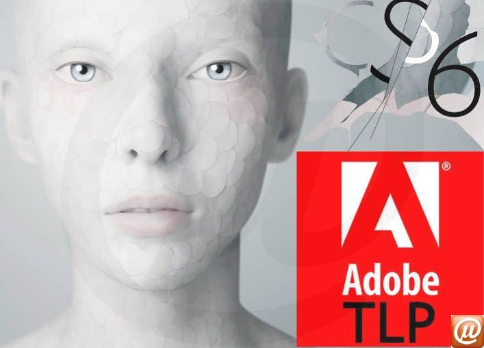 65158361AD01A00 - Licena perptua TLP Adobe Photoshop CS6 13 Multiplataforma Portugus Full 1 User 